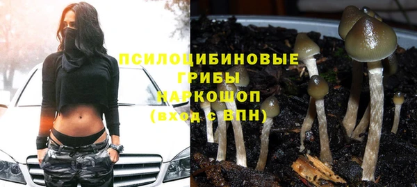 тгк Балахна