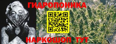 дурь Кунгур