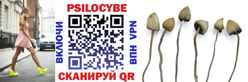 цена Калуга Псилоцибиновые грибы Psilocybe