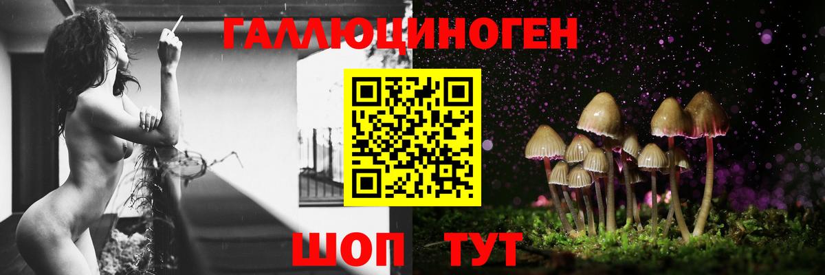 Псилоцибиновые грибы Psilocybine cubensis  Вход с VPN  Калуга 
