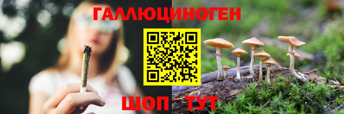 Псилоцибиновые грибы GOLDEN TEACHER Калуга